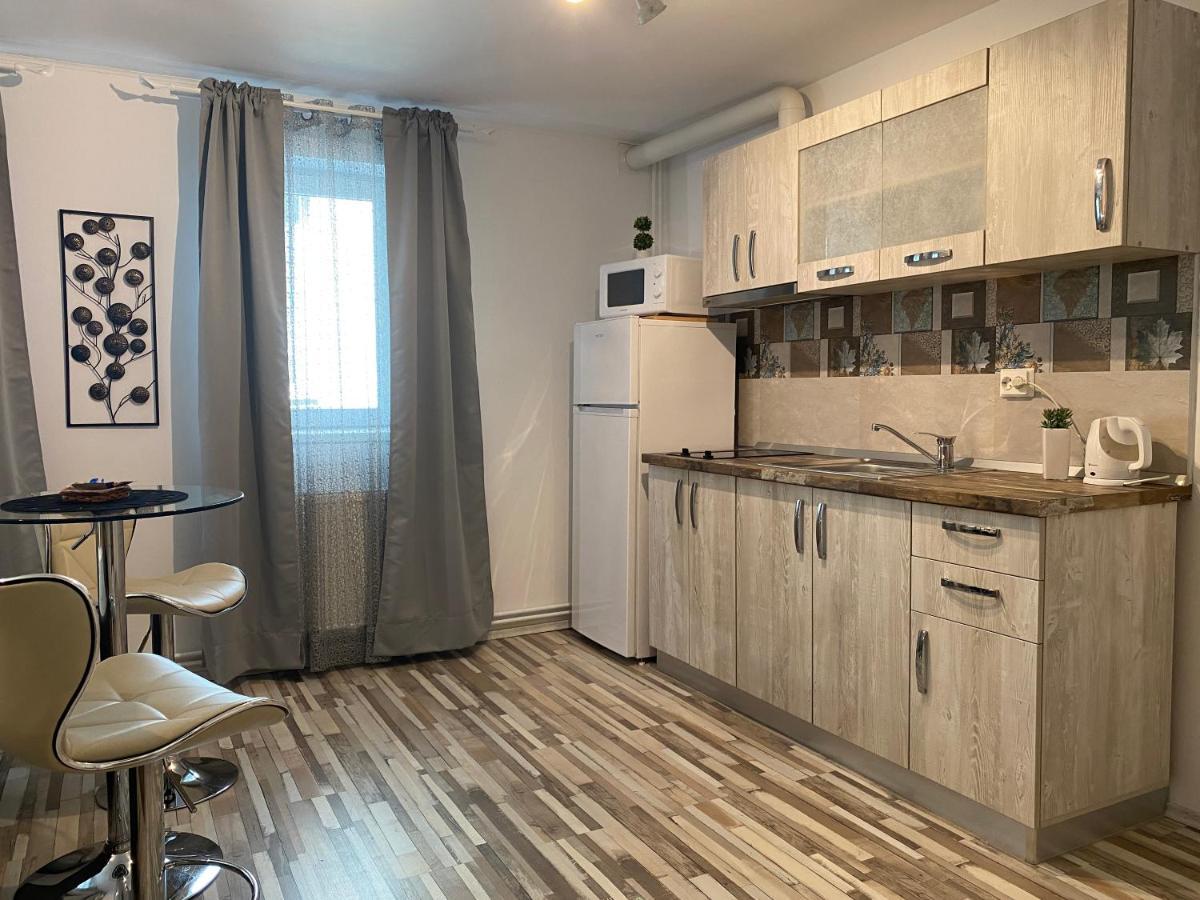 Urseni Studio Apartment Timisoara Bagian luar foto